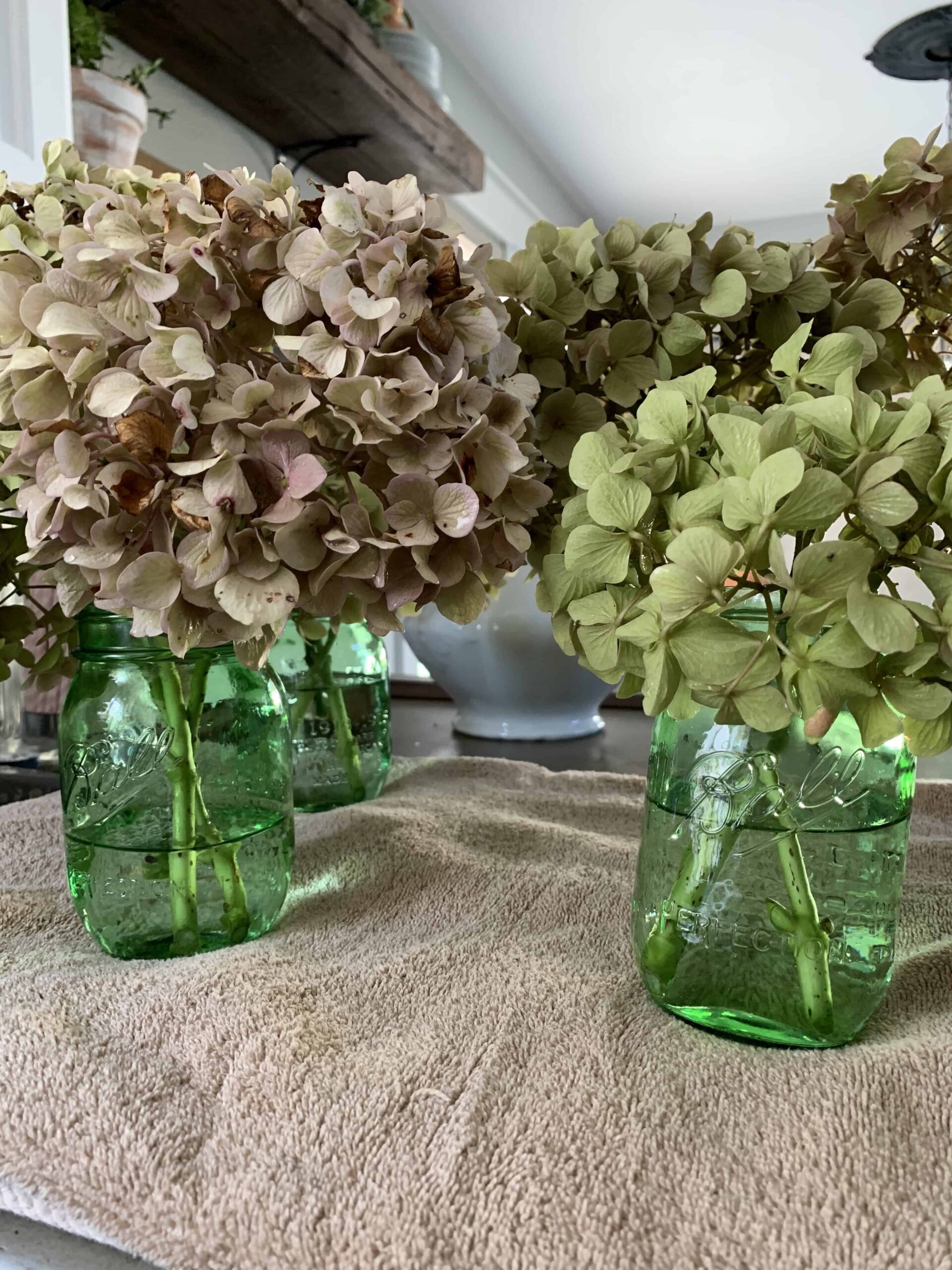 How to Dry Hydrangeas - Sunrise Valley Farm Co