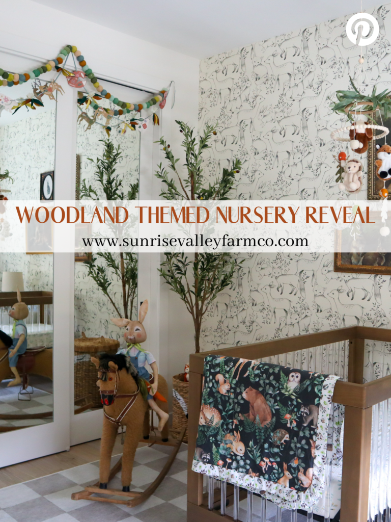 Into the Enchanted Woods: Unveiling our Vintage Woodland-Themed Nursery ...